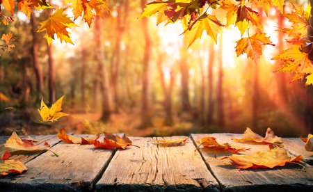 Autumn Table - Orange Leaves And Wooden Plank At Sunset In Forestの写真素材