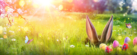 Easter - Ears Bunny Hidden In Hole On Field Grass With Eggs And Abstract Defocused Lightsの写真素材