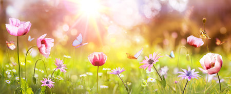 Spring - Sunny Field With Poppies And Daisies Flowers On Grass With Abstract Defocused Landscapeの写真素材