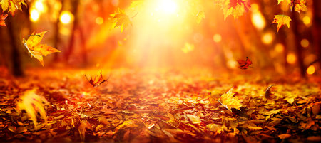 Autumn - Falling Leaves In Orange Forest At Sunset With Defocused Sunny Backgroundの写真素材