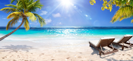 Tropical Beach - Deckchairs With Palm Tree On Coral Sand In Maldives Island - Glittering Light Effects With Selective Focus In Foregroundの写真素材