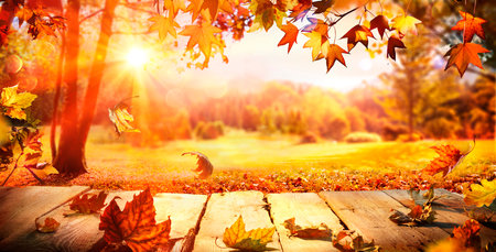 Autumn - Wooden Table With Falling Orange Leaves At Sunset In Park With Abstract Defocused Lightsの写真素材