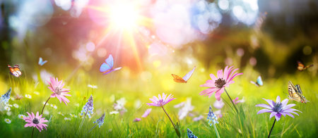 Spring Meadow - Flowers In Grass With Sunlight On Abstract Defocused Backgroundの写真素材