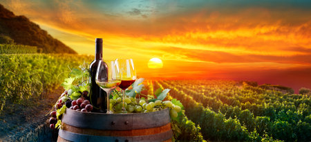 Wine - Wineglasses With Bottles And Grapes On Barrel In Vineyard - Rural Scene At Sunsetの写真素材