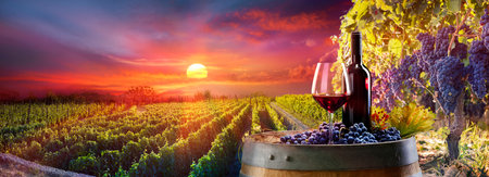 Red Wine In Vineyard At Sunset - Wineglass With Bottles On Barrel In Rural Landscapeの写真素材