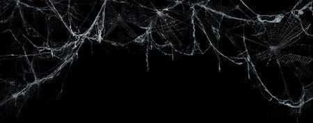 Spooky Cobweb On A Dark Background - Real Creepy Spiderweb - Halloweenの写真素材