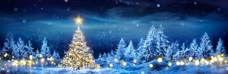 Christmas Tree On Snow - Winter Fir Forest At Night Forest - Pine Tree With Gift Boxes And With Shiny Star In Blue Landscape And Abstract Bokeh Lightsの写真素材