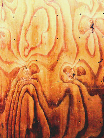 Tarantula wood patternの素材