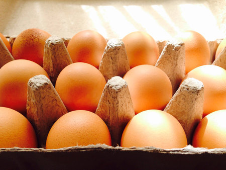 Eggs in carton