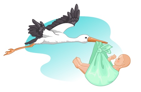 Stork with baby のイラスト素材