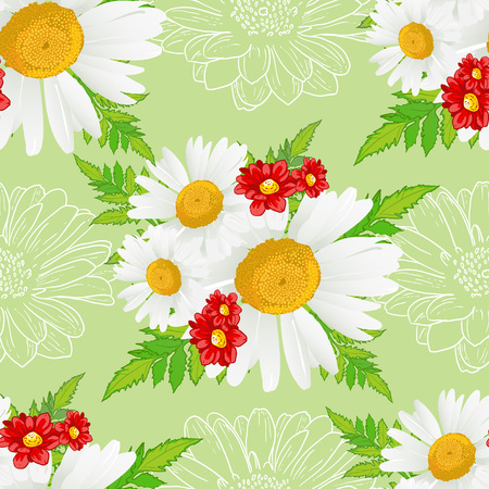 Vector floral seamless background with white chamomilesのイラスト素材
