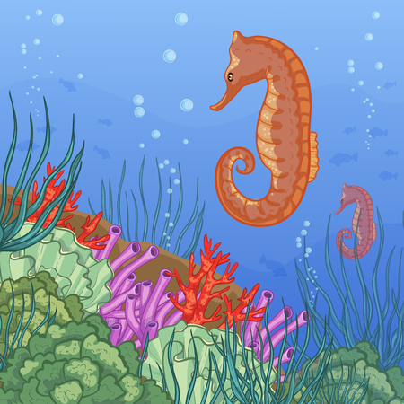 Underwater world with coral reefs and sea-horse, vector image, eps10のイラスト素材