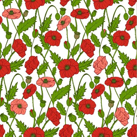Seamless pattern with decorative poppies flowers, vectorのイラスト素材