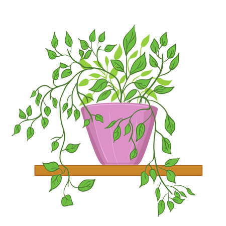 Cartoon illustration of house plant in pink pot on the shelf, vector image isolated on white, eps10のイラスト素材