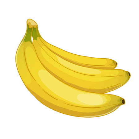 Illustration of bananas, vector illustration isolated on white background, eps10のイラスト素材