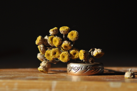 Ring and yellow flowerの写真素材
