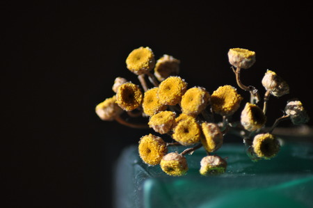 Flower on wood table with green vaseの写真素材