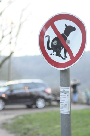 No dogs allowed sign in a park with a grassの写真素材