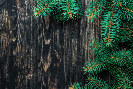 Spruce branches on a dark vintage wooden background. christmas conceptの写真素材