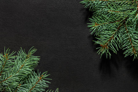 Spruce branches on a dark vintage wooden background. christmas concept