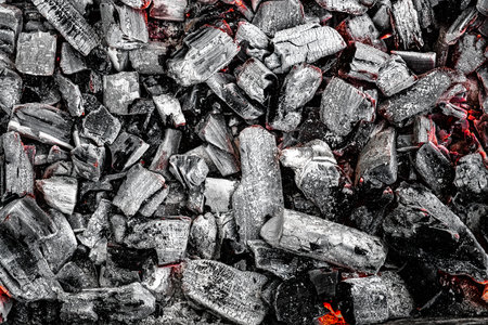The texture of burning firewood and charcoal with the remnants of the heat. Ash after the fire. light background.の写真素材