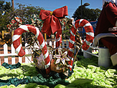 Christmas candiesの写真素材