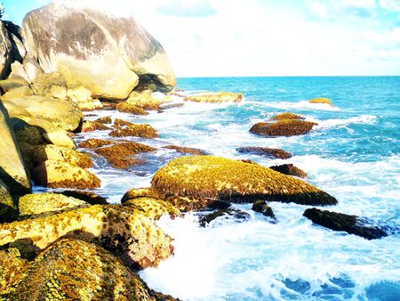 Rocks of the seaの写真素材