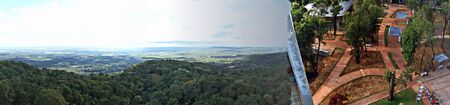 Panoramic view of the jungle
