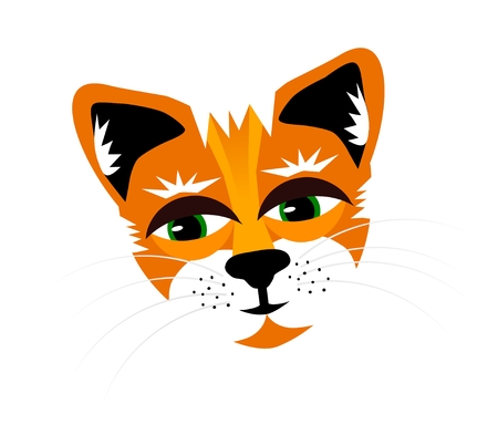 Rusty the cats head on a white backgroundの写真素材