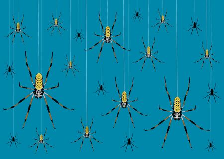 Variously sized spiders hanging from websの写真素材