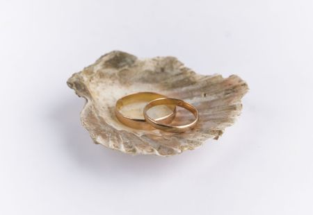 two gold wedding rings in grey cocleshellの写真素材