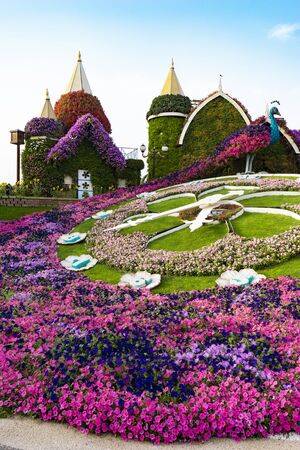 Dubai, United Arab Emirates - Apr.13, 2018: Miracle Garden - 72,000sqm covered with flowersのeditorial素材
