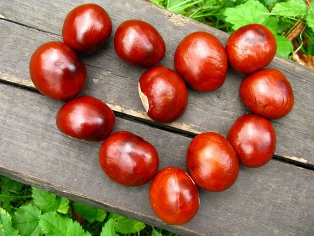 Autumn heart made of horse chestnutsの写真素材