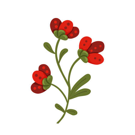 vector retro flowers, cartoon. Colored bright red flower.のイラスト素材