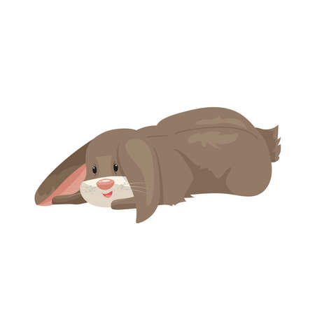 vector illustration of cartoon rabbits of different breeds. Lovely rabbits for veterinary design. Gray, red and white rabbits. Cheerful, soft, fluffyのイラスト素材