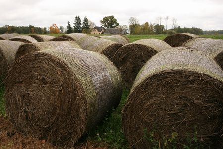 Haystack near village house in autumnの写真素材