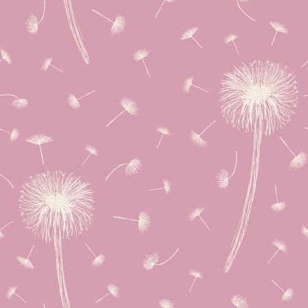 Seamless vector pattern with hand drawn white dandelions on pink background. Creative hand drawn floral textureのイラスト素材