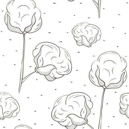 Seamless pattern with cotton. Black outline cotton bolls on white background. Ink hand drawn cotton ballsのイラスト素材