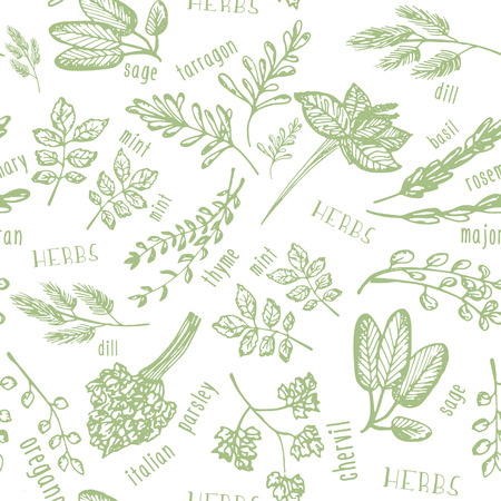 Seamless pattern with hand drawn spicy herbs. Culinary kitchen background with herbs. Perfectly look on kitchen textile, fabric. Vector illustrationのイラスト素材
