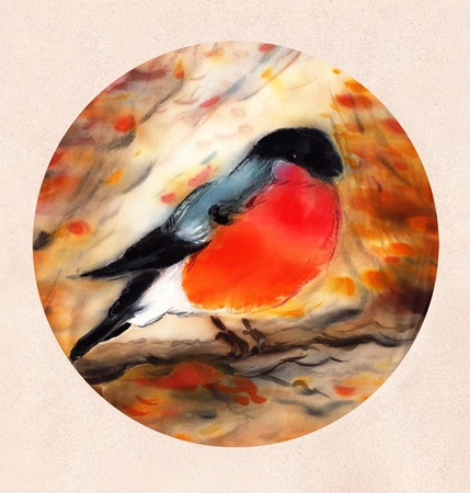 Painted Watercolor Bullfinch  on Silk の写真素材