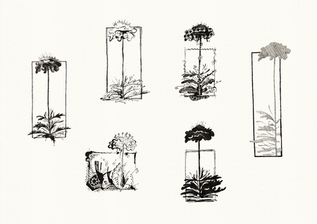 Graphic Elements Set: Silhouettes of Spring Flowerの写真素材