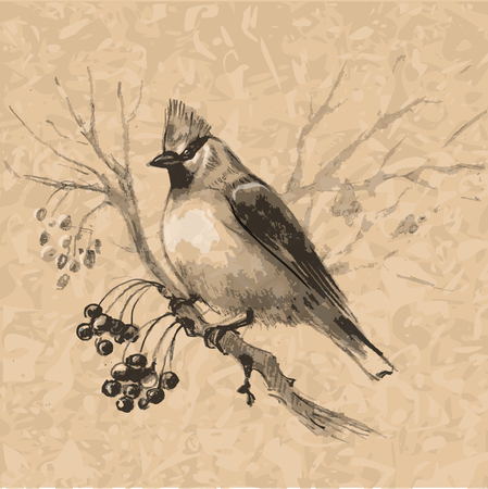 sketched by coal a small bird on a rowan branchのイラスト素材