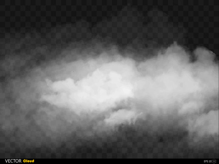 Fog or smoke isolated transparent special effect. White vector cloudiness, mist or smog background. Vector illustrationのイラスト素材
