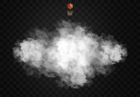 Fog or smoke isolated transparent special effect. White vector cloudiness, mist or smog background. Vector illustrationのイラスト素材