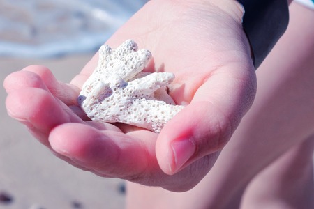 Corals in the hands of a baby. Sea beachの写真素材