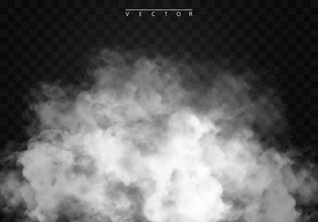 Fog or smoke isolated transparent special effect. White cloudiness, mist or smog . illustrationのイラスト素材