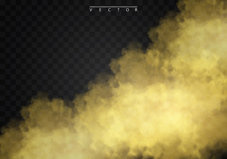 Golden fog or smoke isolated on a transparent background special effect. Golden vector cloudiness, mist or smog background. Vector illustrationのイラスト素材