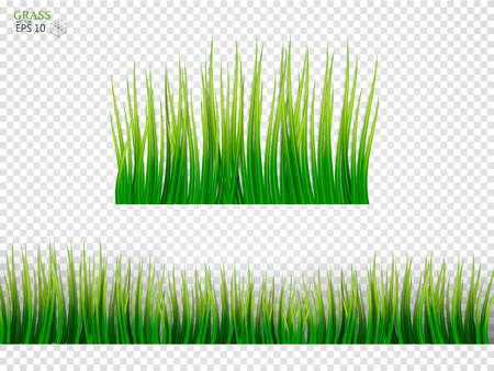 Grass Borders Set. On a transparent background. Vector Illustrationのイラスト素材