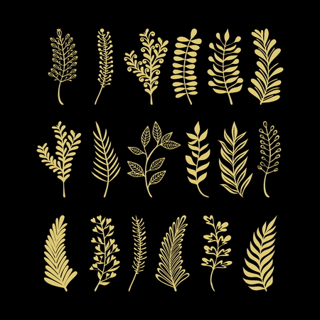 Floral vector elements in doodle style, flowers and leaves. Summer flowers for greeting cards, wedding designs or invitations.のイラスト素材