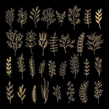 Vector floral elements in doodle style - flowers and leaves. Summer flowers for greeting cards, wedding designs or invitations.のイラスト素材